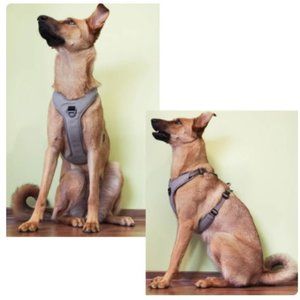 Truelove Padded Reflective Dog Harness